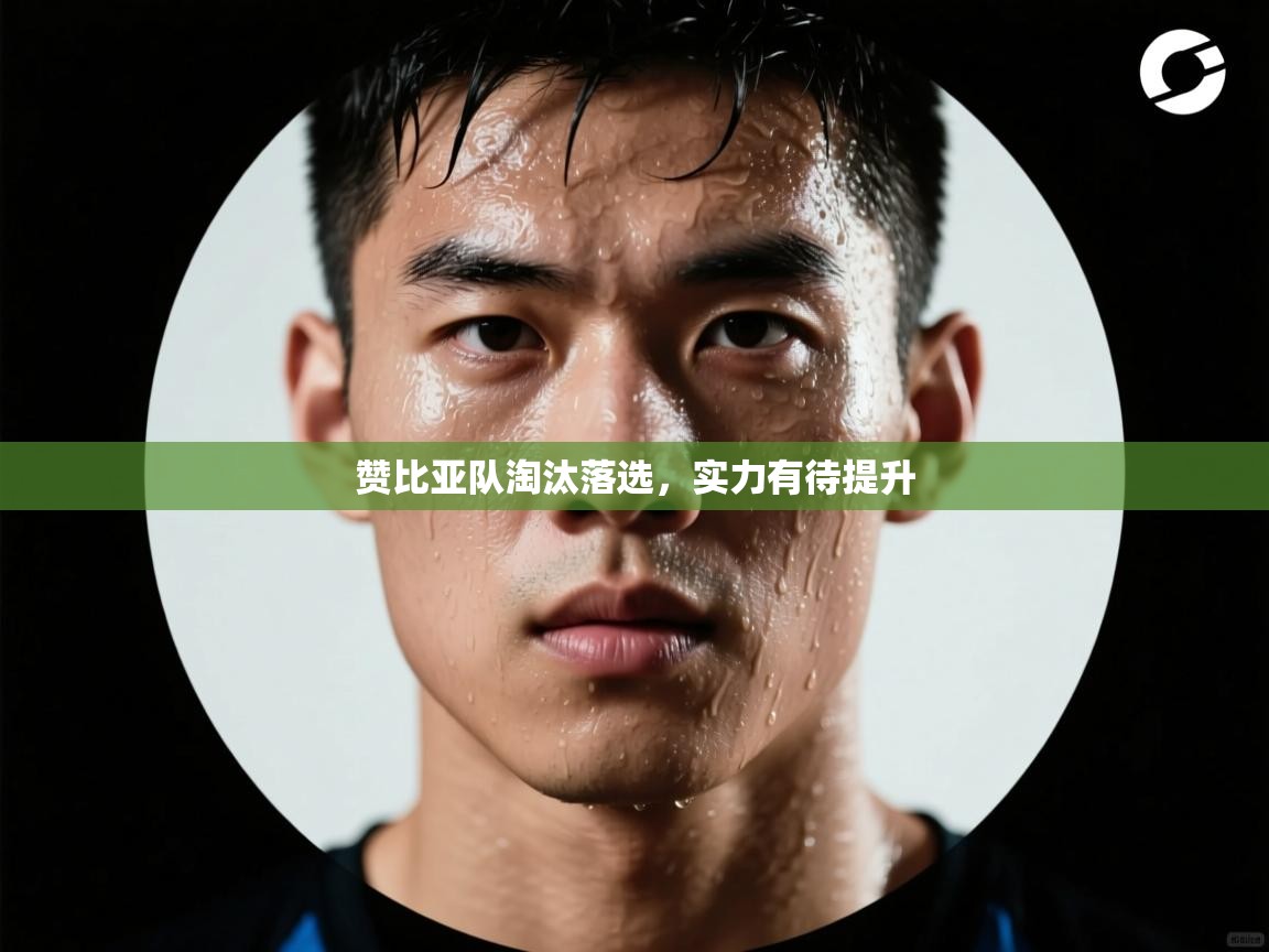 赞比亚队淘汰落选，实力有待提升  第1张