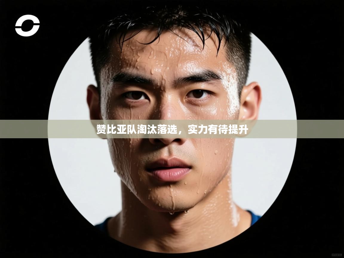 赞比亚队淘汰落选，实力有待提升  第2张